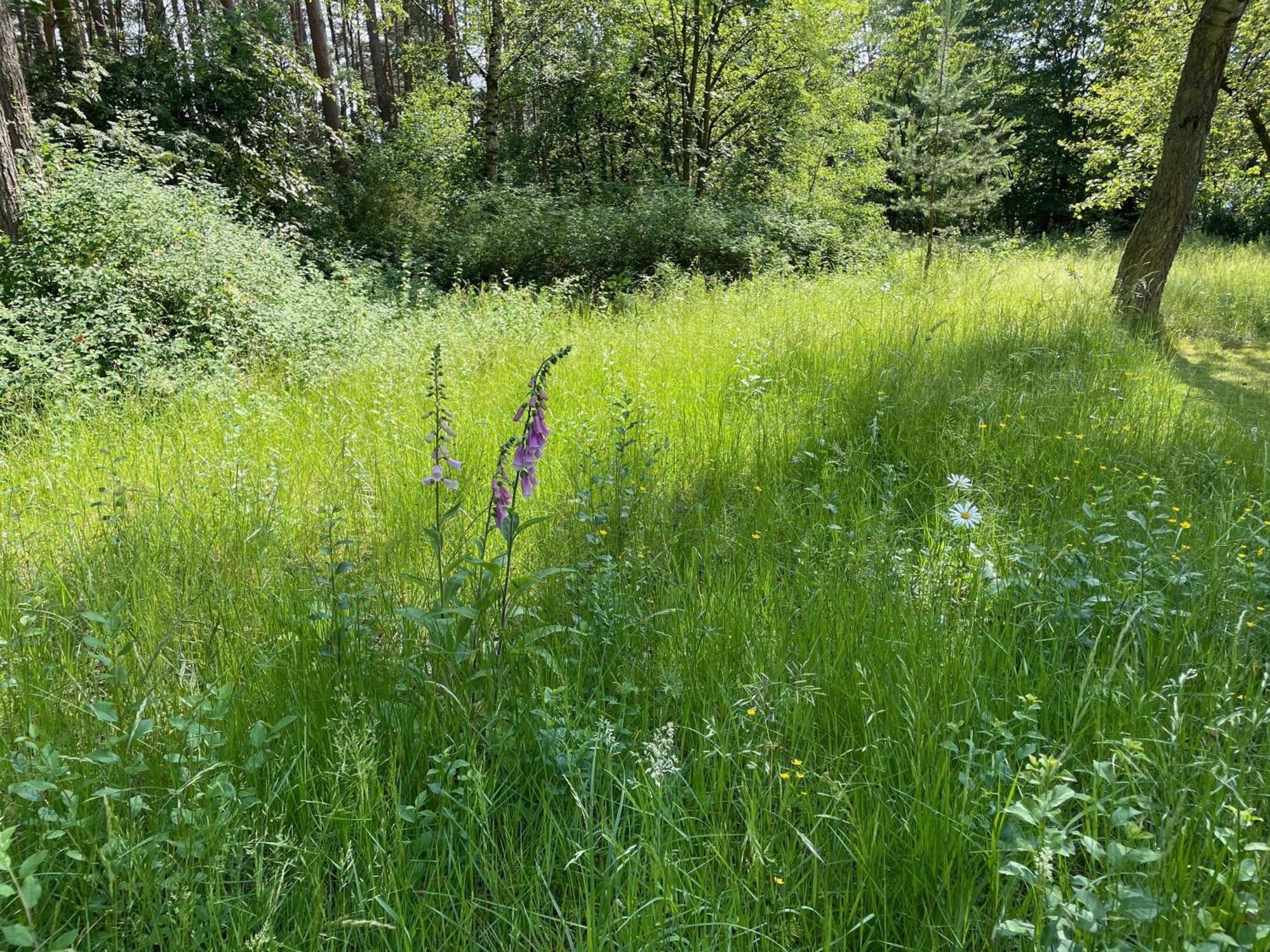 Little Paradise Stelle Экстерьер фото